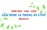 Giải Sinh 12 trang 25 Chân trời Sáng tạo